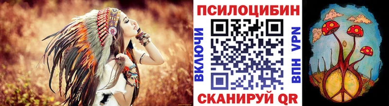магазин  наркотиков  Тетюши  Псилоцибиновые грибы мицелий 